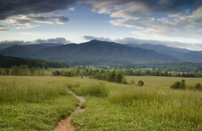 Image for Thing To Do Cades Cove Nature Trail