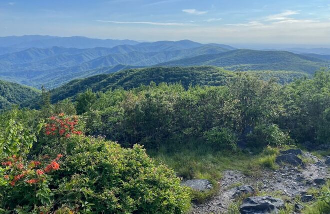 Image for Thing To Do Rocky Top Trail