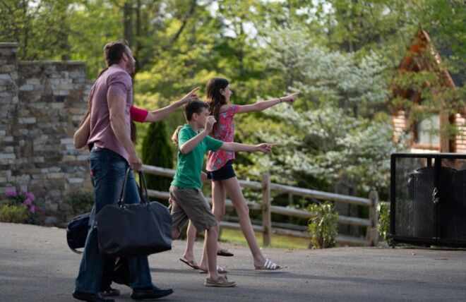 Image for Thing To Do 5 Ways to Attract More Guests to Your Vacation Rental