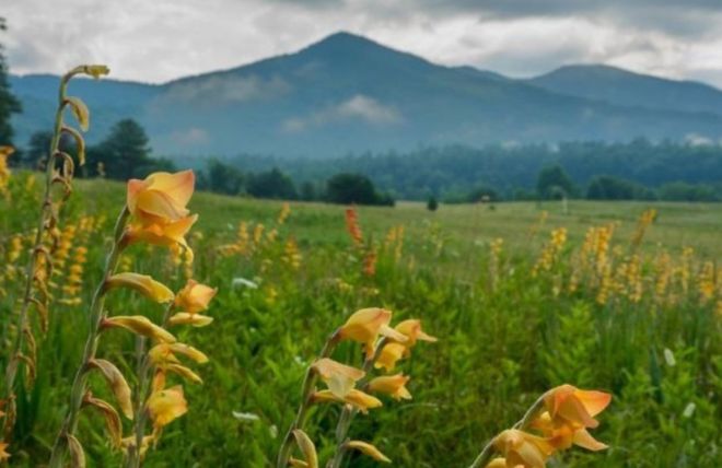 Image for Thing To Do 5 Things to Know About Cades Cove