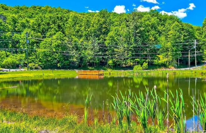 Image for Thing To Do 8 Great Cabins with Fishing Ponds