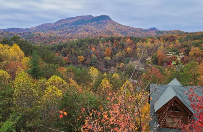 Image for Thing To Do Seasonal Splendor: Enjoying Gatlinburg's Fall Colors from Colonial Properties' Cabins