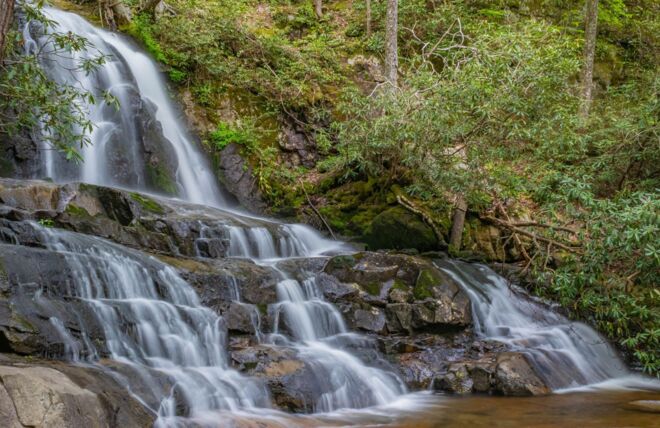 Image for Thing To Do Laurel Falls