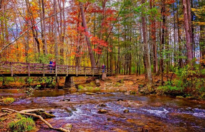 Image for Thing To Do Top 6 Reasons to Experience Fall in the Smoky Mountains