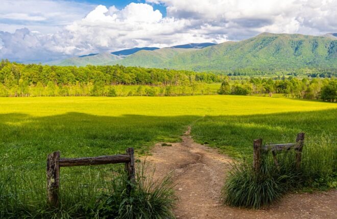 Image for Thing To Do Cades Cove