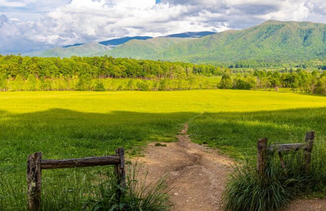 Image for Thing To Do Cades Cove Nature Trail