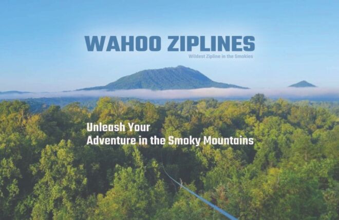 Image for Thing To Do Wahoo Ziplines