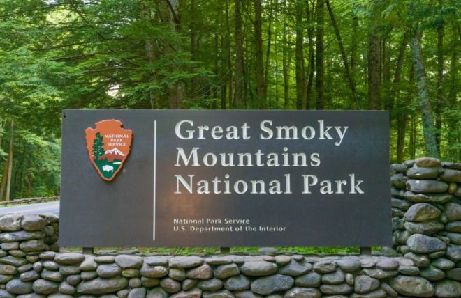Image for Thing To Do Free to Roam: Understanding the No Entrance Fee Policy in the Smoky Mountains
