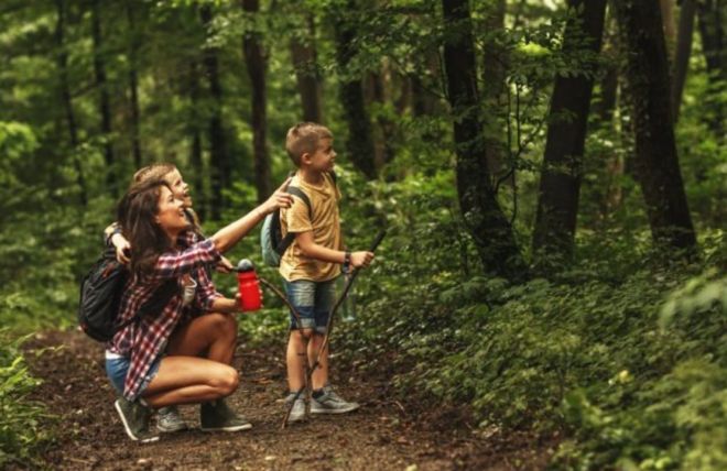 Image for Thing To Do 5 Kid-Friendly Hikes in the Smoky Mountains