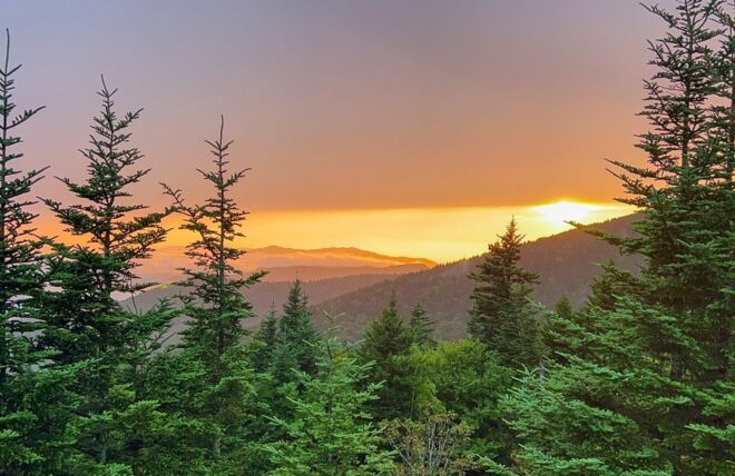 Image for Thing To Do Discover the Unique Beauty of the Great Smoky Mountains