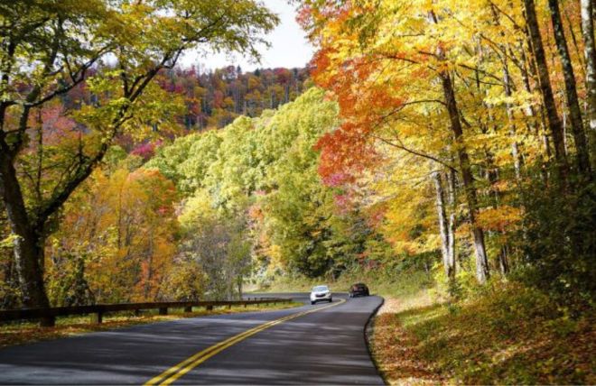 Image for Thing To Do Fall in the Smoky Mountains: Everything You Need to Know