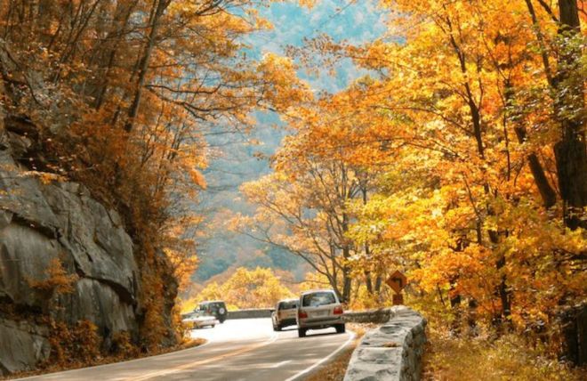 Image for Thing To Do 4 Tips for Visiting the Smoky Mountains this Fall