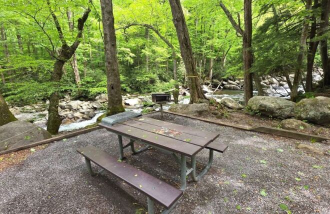 Image for Thing To Do 5 Best Spots for a Memorial Day Picnic in Gatlinburg