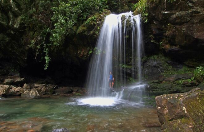 Image for Thing To Do Smoky Mountains: Things to Do in June
