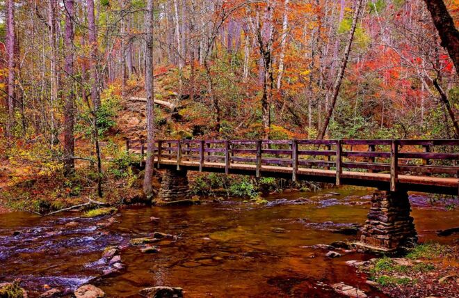 Image for Thing To Do Best Time to See Fall Colors in the Smoky Mountains