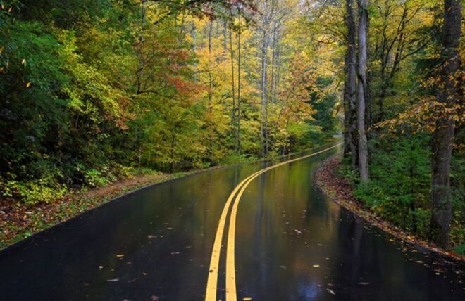 Image for Thing To Do Fall in the Smoky Mountains: Everything You Need to Know