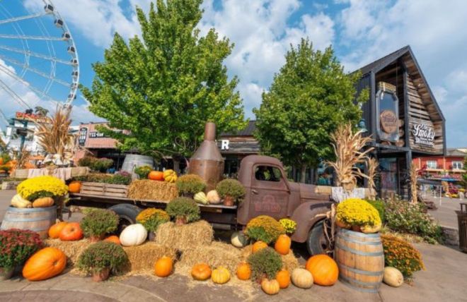 Image for Thing To Do The 6 Best Things to Do in Pigeon Forge this Fall