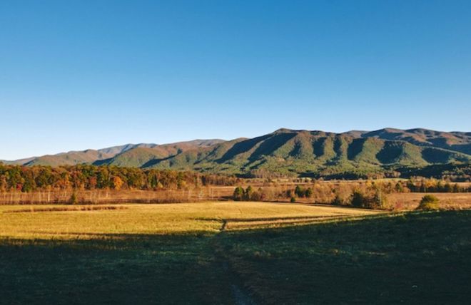Image for Thing To Do Top 6 Reasons to Experience Fall in the Smoky Mountains