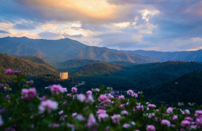 Image for Thing To Do Top 7 Things to Do in the Smoky Mountains this March