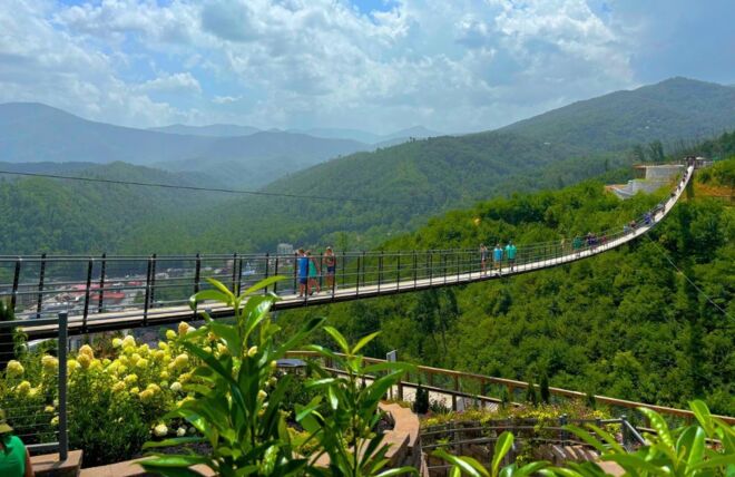 Image for Thing To Do Unique Things You’ll Only Find in Gatlinburg, Tennessee