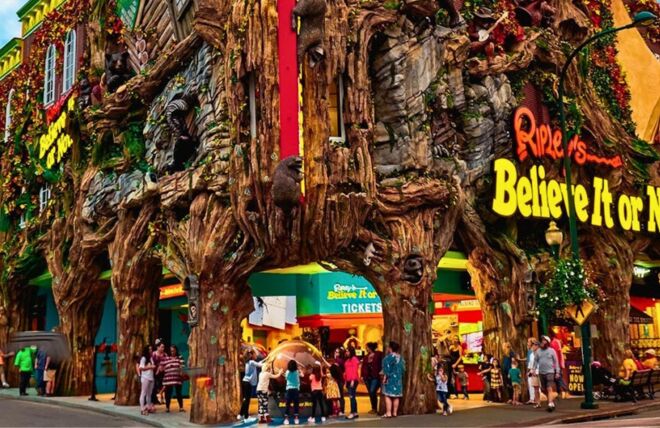 Image for Thing To Do Top 10 Ideas for an Unforgettable Gatlinburg Vacation