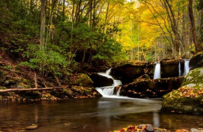 Image for Thing To Do Top 8 Places to View Fall Colors in the Smoky Mountains
