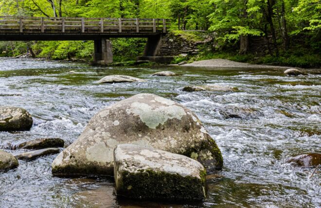 Image for Thing To Do Picnic Spots in the Smoky Mountains