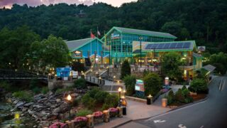 Top 9 Family Activities Near Gatlinburg Cabin Rentals