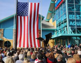 Veterans Day Celebration