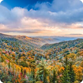 Smoky Mountain Cabins