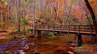 The Best Time to See Fall Colors in the Smoky Mountains